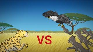 LEOPARD VS BABOON VS EAGLE ANIMATION