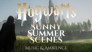 Sunny Summer Scenes at Hogwarts | Hogwarts Legacy Harry Potter Ambience