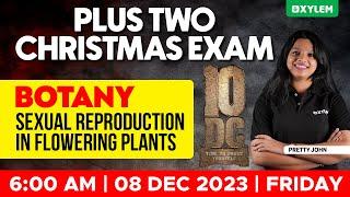 Plus Two Christmas Exam - Botany - Day 8 | Xylem Plus Two