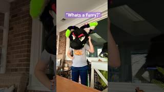 Not that dumb! #Furry #Fursuit #Fursona #Like #Shorts #fypシ #Sub #Comment #Share #antizoo #furries