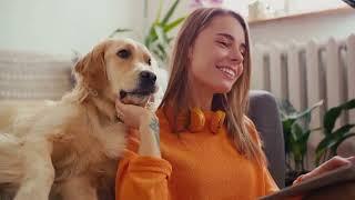 Pet Tech Paradise: Gadgets for Happy Pets and Owners!