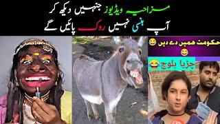 Most Funny Moments  Caught on Camera | funny videos 2024 | Diky Info