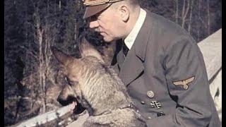 Was Hitler Abusive to his Dog?