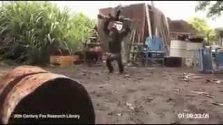 Supper funny video | Do not fun | you are in dangers