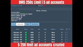 Make BM5 $250 Limit | Buy BM5 250$ | 5 Ads Account - 250$ daily spending | Verified BM | Salva Store