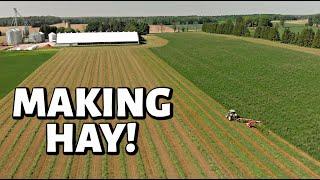 Our first days of HAY!! (FIRST CUT HAY 2020 - PART ONE): Vlog 305