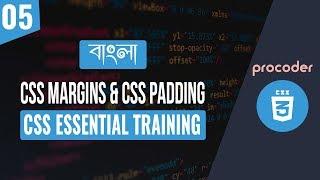 CSS Tutorial for Beginners in Bangla | CSS Margins & CSS Padding | Part 05