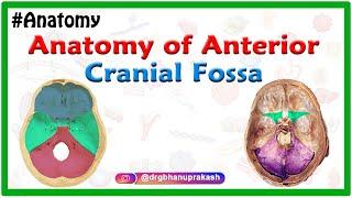 Anatomy of Anterior cranial Fossa