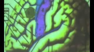 Brain Functional Areas 1-Frontal Lobe - Sanjoy Sanyal