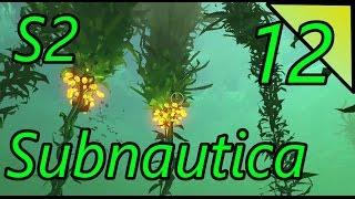 Subnautica 12 (S2):  Only thing better than shallow water...  Let's Play Subnautica Gameplay