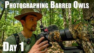 Bird Photography: Photographing Barred Owls Part 1 | Nikon Z9