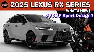 2025 Lexus RX Series - minor updates