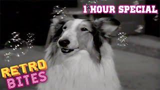 Lassie | 1 Hour Special | Full Episodes  