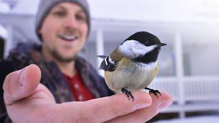 First Month at my NEW Wildlife Homestead!