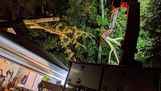 Nighttime Emergency Tree Removal in Roswell GA: Photos & Explanation of Crane Technique