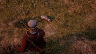 Opossum 3 Star Perfect Pelt - Red Dead Redemption 2