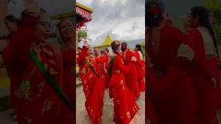 Teej ko lahara aayo bari lai️ #teej #dance #ladies #nepaliculture #sari #teejspecial #2024