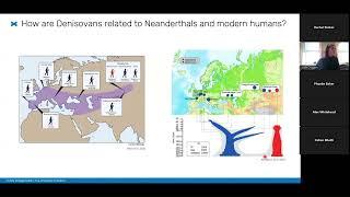 Who were the Denisovans? From a single phalanx to their genetic legacy in Modern Humans