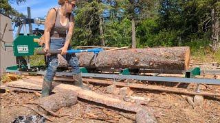 Alaskan Solo Cabin Build Part 5