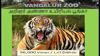 VANDALUR ZOO (Arignar Anna Zoological Park Chennai) அறிஞர் அண்ணா உயிரியல் பூங்கா