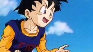 Intervista a Videl e Gohan