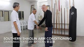Southern Shaolin Arm Conditioning | Grandmaster Koay Ah Kean | THE MARTIAL MAN