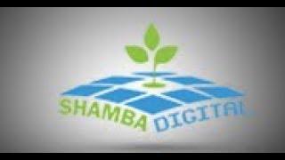 Shamba Digital - Innovative Farm Management System