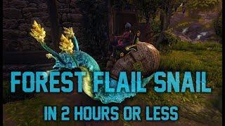 Neverwinter | The Summer Festival - Get The Forest Flail Snail in Less Than 2 Hours
