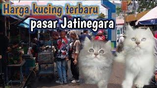 Bikin Melongo  HARGA KUCING di pasar JatinegarA JAKARTA