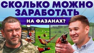 Птицеводство как бизнес | Сколько приносит разведение Фазанов? Охота на птиц | Андрей Даниленко