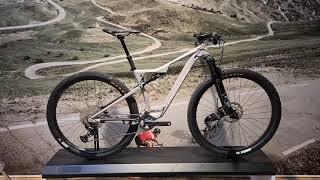 Orbea Oiz H20 grey (2021)