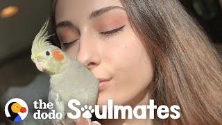 This Cockatiel Follows Her Mom All Around The House | The Dodo Soulmates