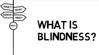 What is Blindness?