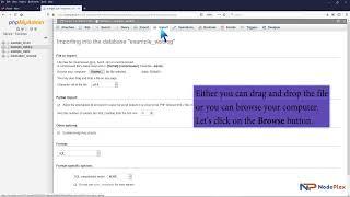How to import a database via phpMyAdmin in cPanel with NodePlex