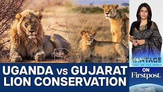 Uganda's Lion Population Plunges | Gujarat Model the Solution? | Vantage with Palki Sharma