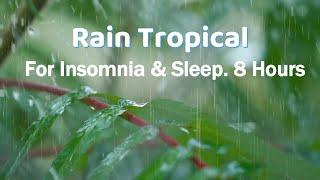  8 hrs. Rain  ASMR Sounds for Sleep, Study  & Relax Better Quality