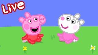 Peppa Pig Full Episodes  Peppa Pig STREAMING NOW  Kids Videos 