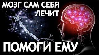 МОЗГ САМ СЕБЯ ЛЕЧИТ. ПОМОГИ ЕМУ.