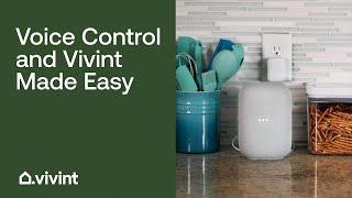 How to Control Your Vivint Smart Home with Amazon Alexa and Google Home | Vivint Tips & Tricks