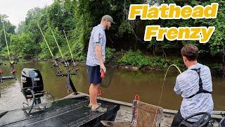 Unbelievable Flathead Catfish Frenzy: Non-Stop Action