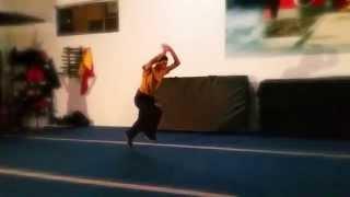 Gymnastics Flips - Wushu Shaolin Kung Fu