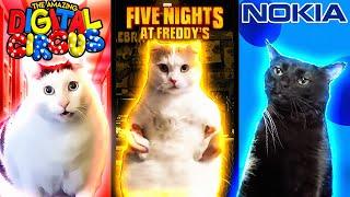 Meme Cats: Different Universes