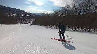 2020 Ski Test - Blizzard Firebird HRC Skis