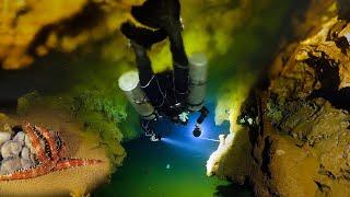 Underwater Cave Creatures!  (World's rarest cave?)