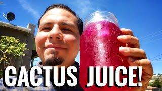 Making Prickly Pear Cactus Fruit Juice- Its The Quenchiest!