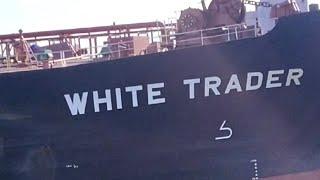 White trader full video Merchant Navy life #reels #merchantnavy #youtube