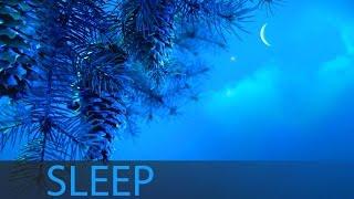 8 Hour Sleep Music, Insomnia, Deep Sleep Music, Calm Music, Sleep Meditation, Sleeping Music, 207