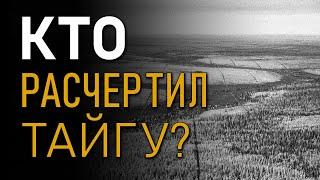 Кто расчертил тайгу? Андрей Кадыкчанский