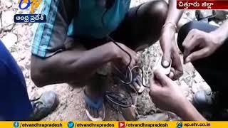 Tamil Nadu Smuggler Arrested by Task Force Police at Itheypali | Chittoor Dist