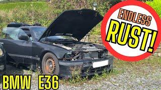 Rust Realm! - RESTORING a BMW E36